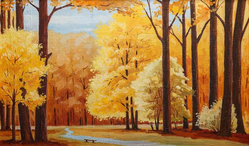 小清新秋天树叶黄了唯美自然风景