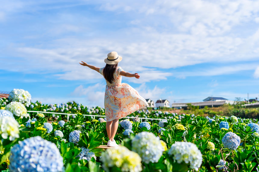 在越南达拉特年轻女性旅行者享受着盛开的水草园旅行生活方式