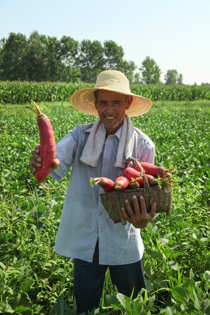 手里拿着红萝卜