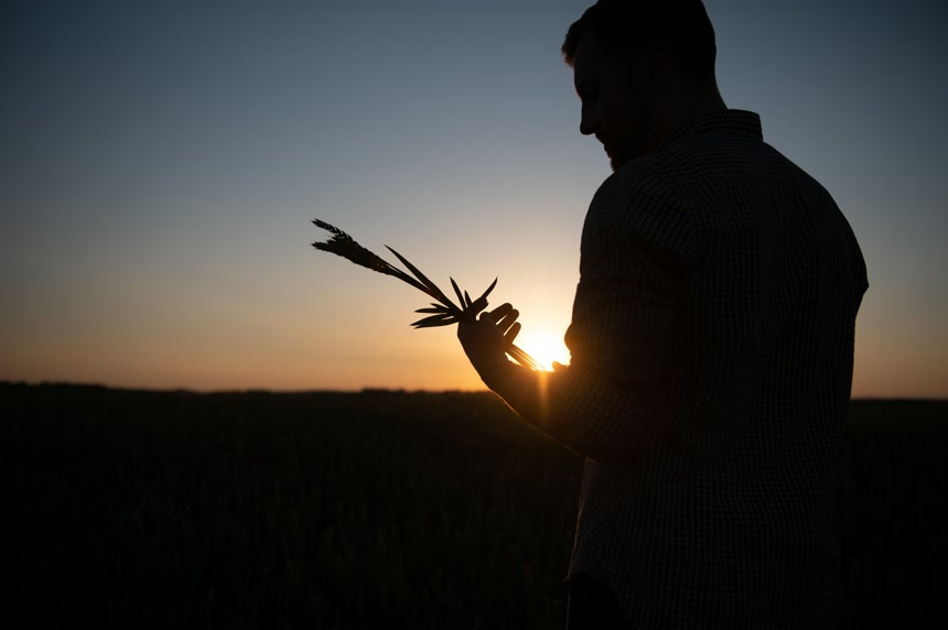 快乐的农学家正站在他种植的大麦地里检查成功播种后的作物农业