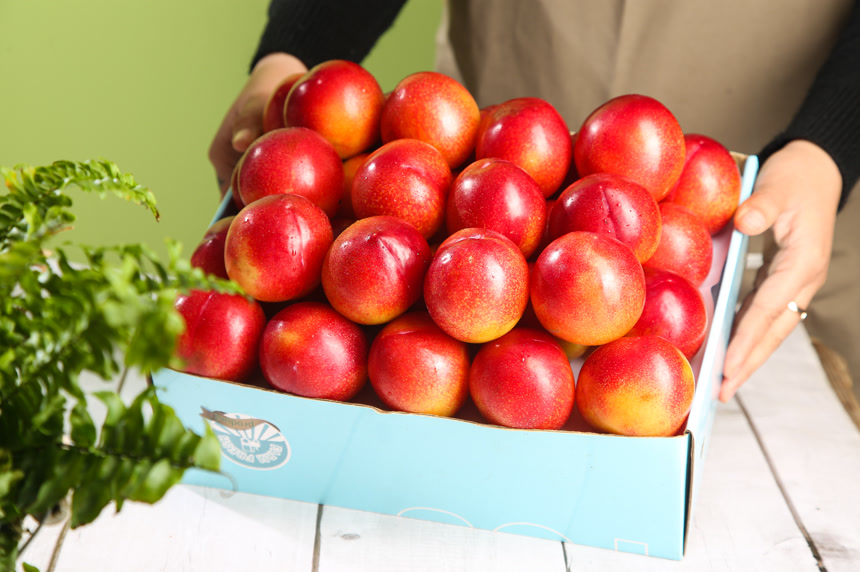 木底上的珠宝李