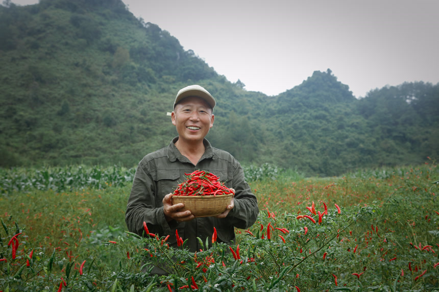 夏季菜园中的农民