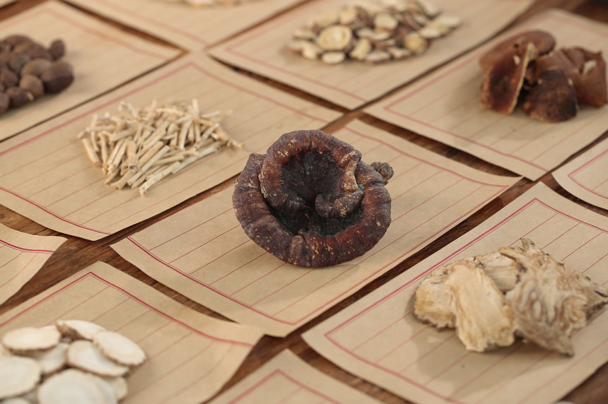 中医中药中药材