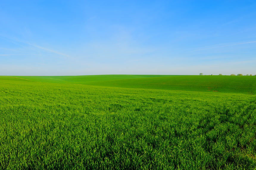 亲近大自然原生态草原热爱亲近自然风景旅行度假