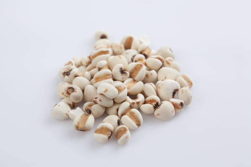 一堆薏米仁农作物五谷杂粮白底图