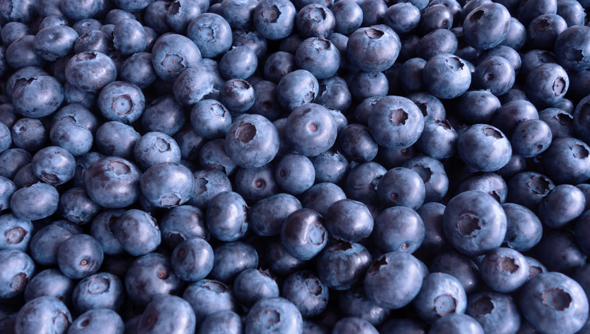 新鲜的蓝莓水果食物美食健康生活方式
