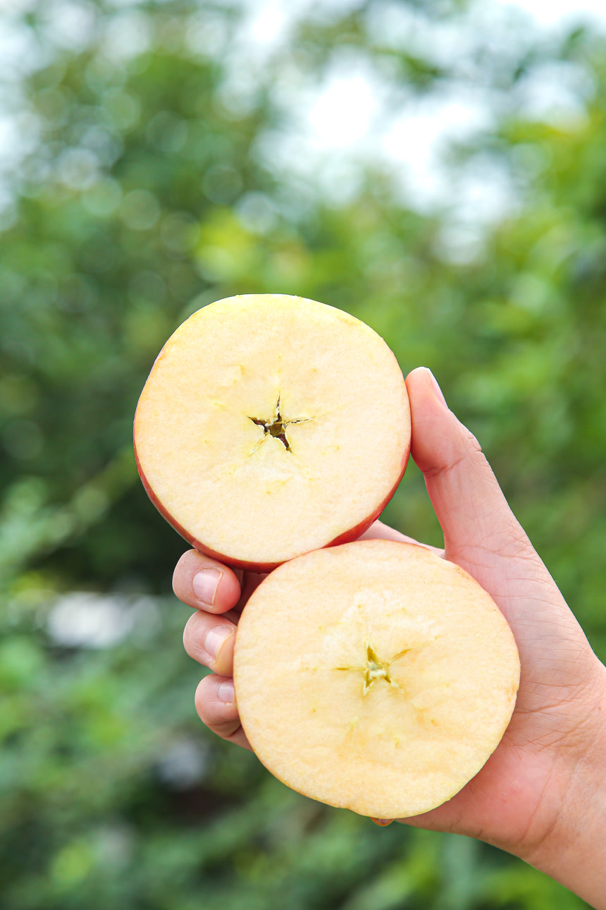 手里拿着一盒丑苹果