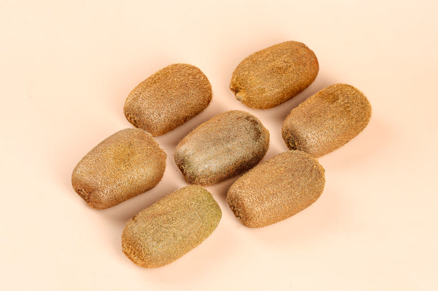 浅底上的修文猕猴桃