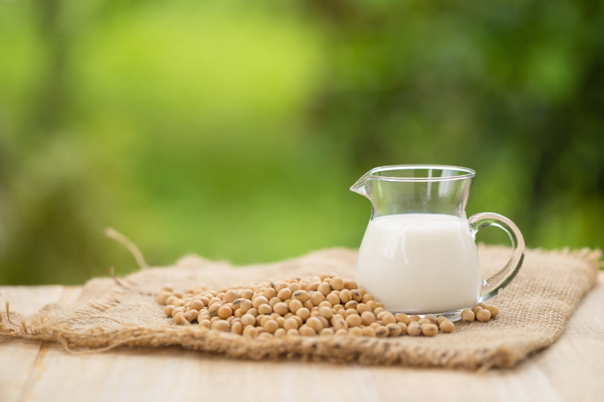 户外绿色背景上的木杯豆浆和黄豆健康食品饮品