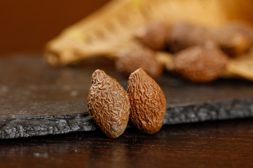 深底上的胖大海