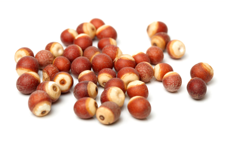 一堆中药材芡实白底图