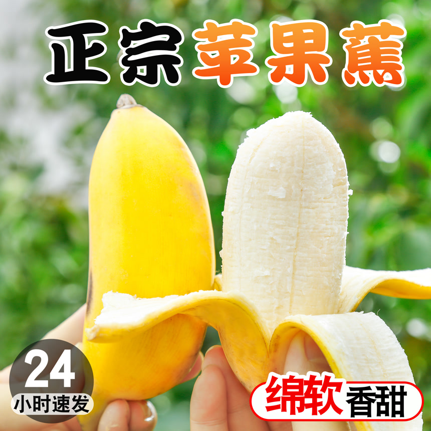 广西苹果蕉主图