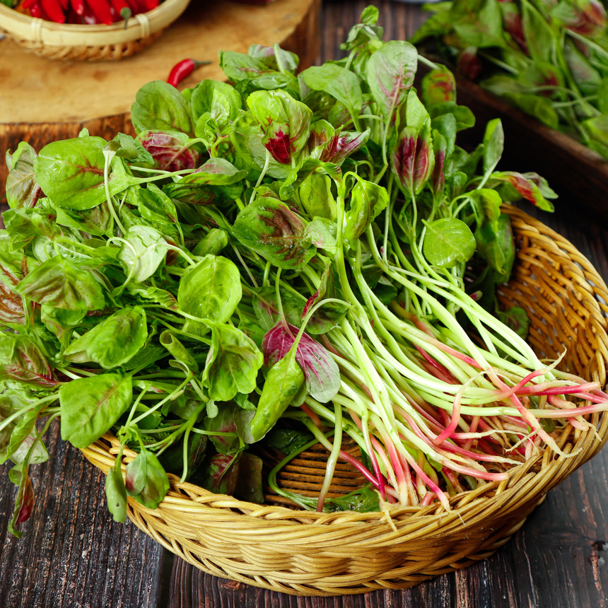 木底上的红苋菜