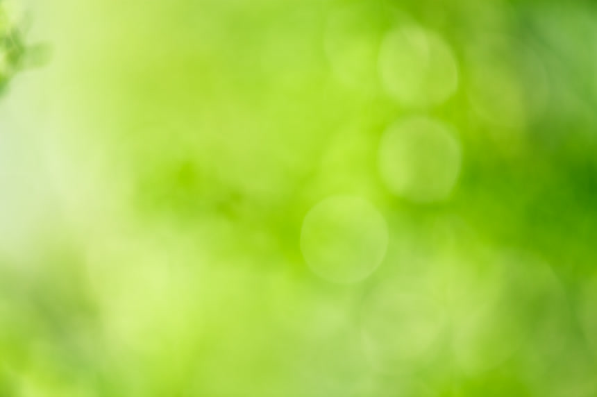 抽象模糊的绿色纹理背景底纹