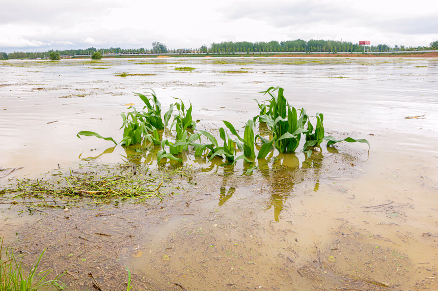 洪水洪涝自然灾害
