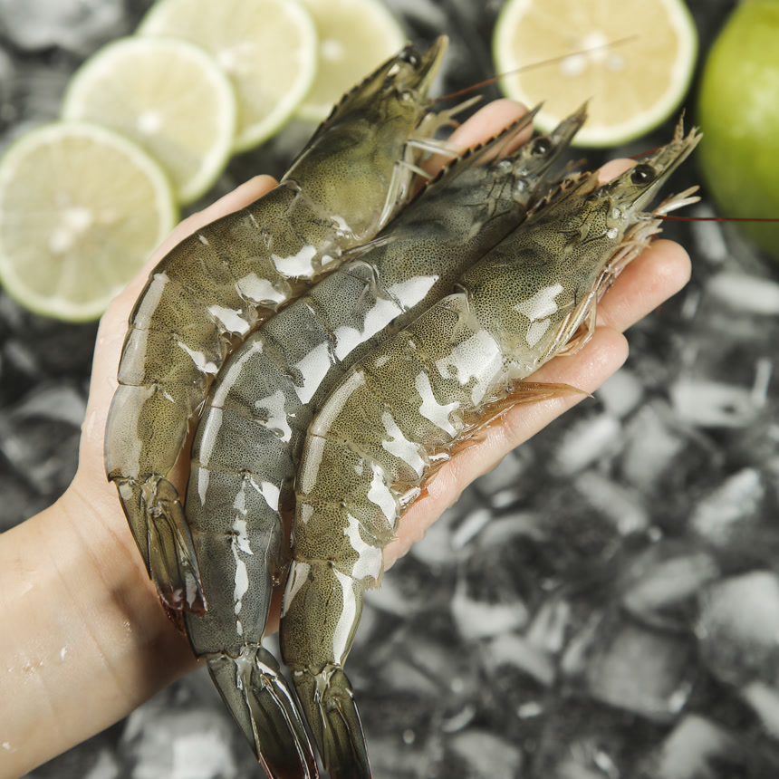 手里拿着青岛大虾