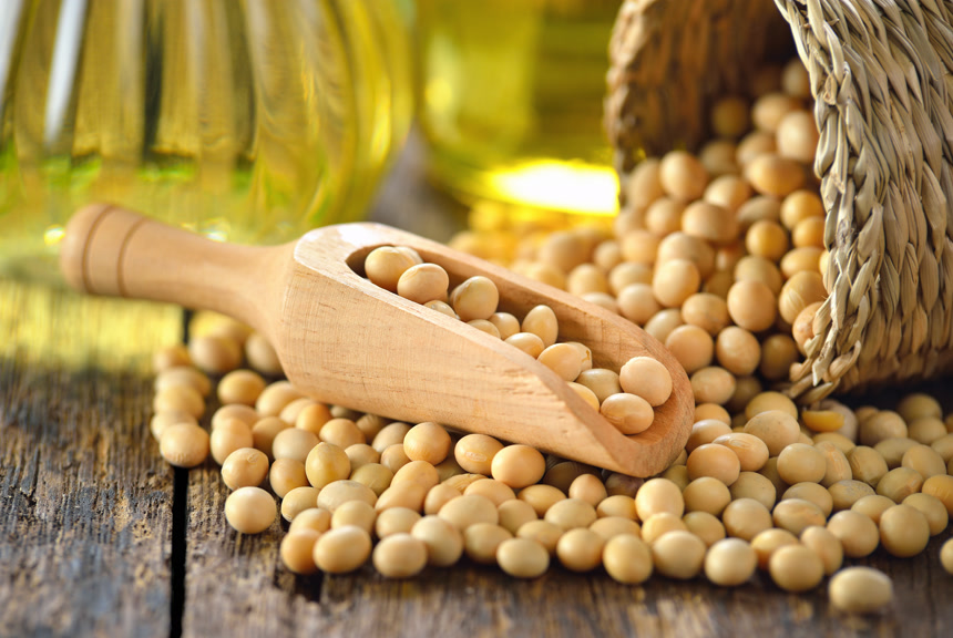 木桌上的黄豆食品健康