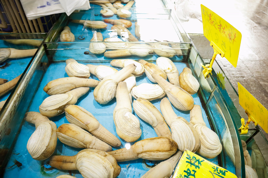 海鲜市场象牙蚌