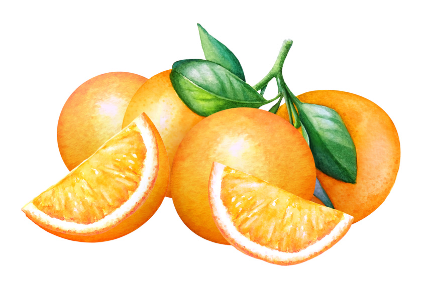 水彩合成与橙色新鲜水果果实