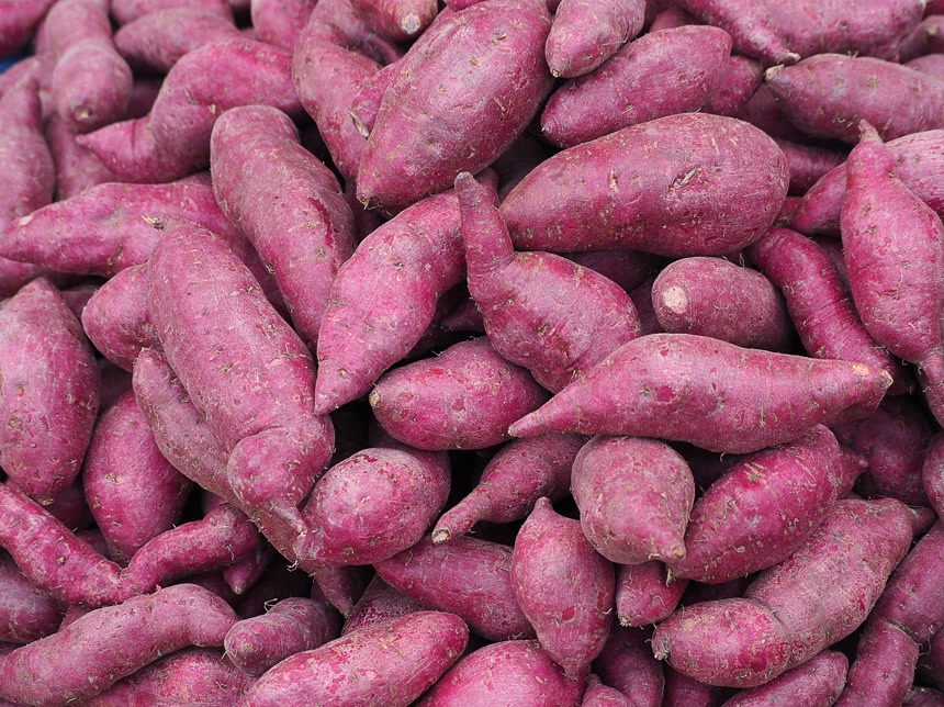 新鲜的红薯素材