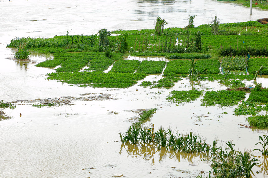 洪水洪涝自然灾害