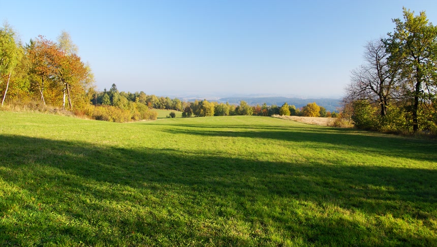 绿草如茵的山坡上长着茂密的树叶休闲度假
