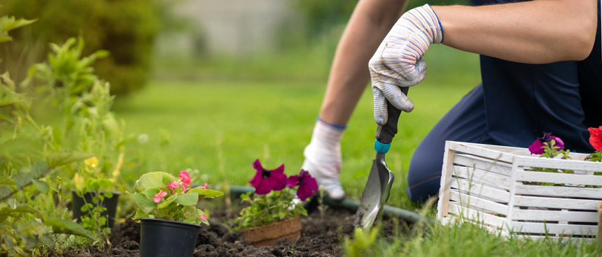 年轻农民手戴手套种植植物摄影图度假休闲娱乐