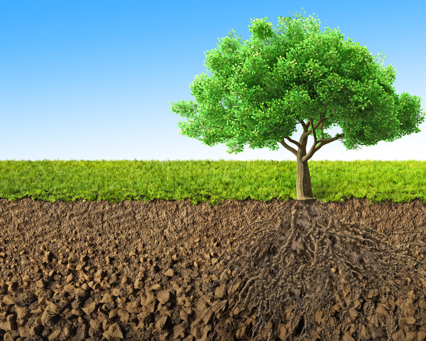 有根飞叶长影如春的生命树抽象生态平面背景