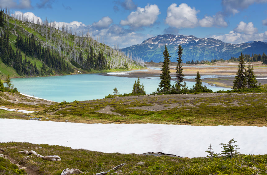 Picturesque mountain view in the Canadian Rockies in summer season生态环境