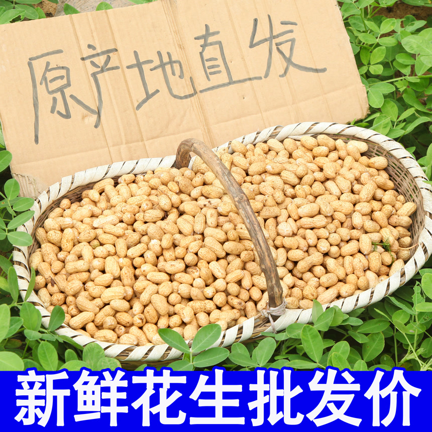 新鲜现挖花生