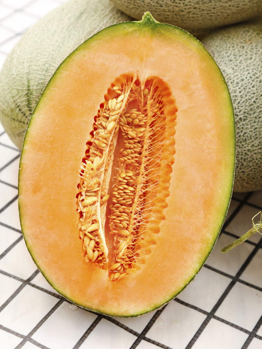 浅底上的新疆哈密瓜