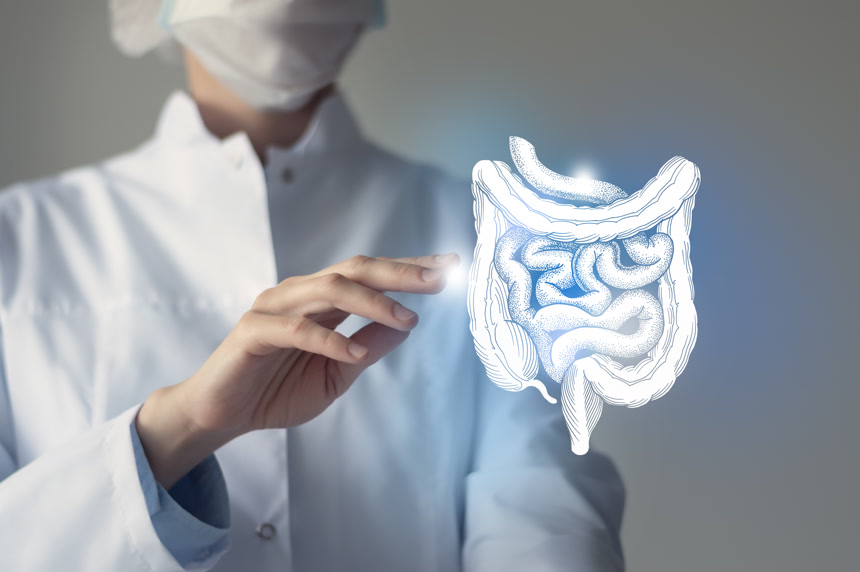 女医生手里拿着虚拟肠道人体器官医疗人像