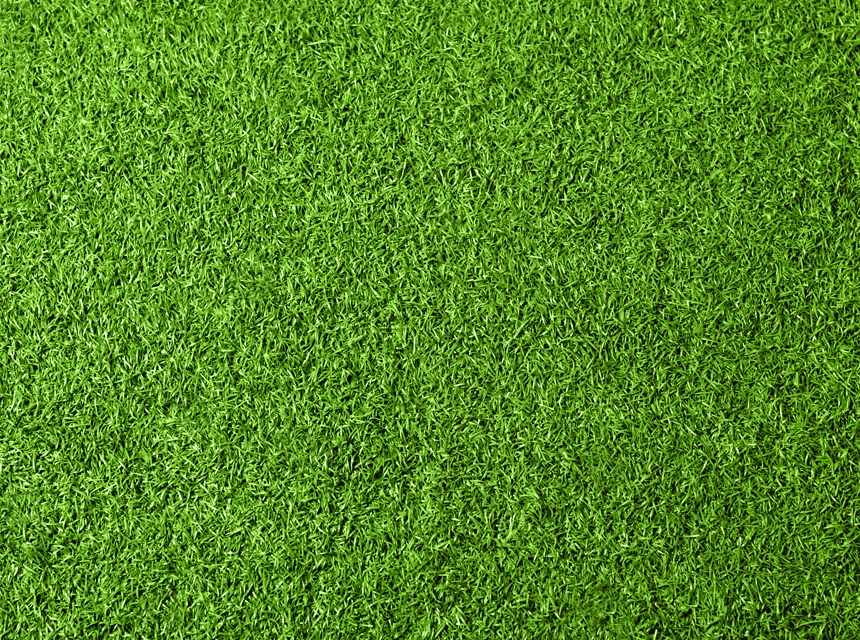 绿草的草坪背景