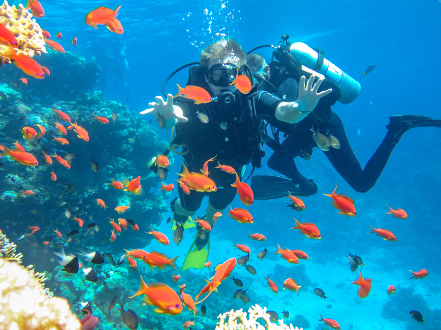两名潜水员在海底潜水欣赏热带鱼和植物海底浮潜