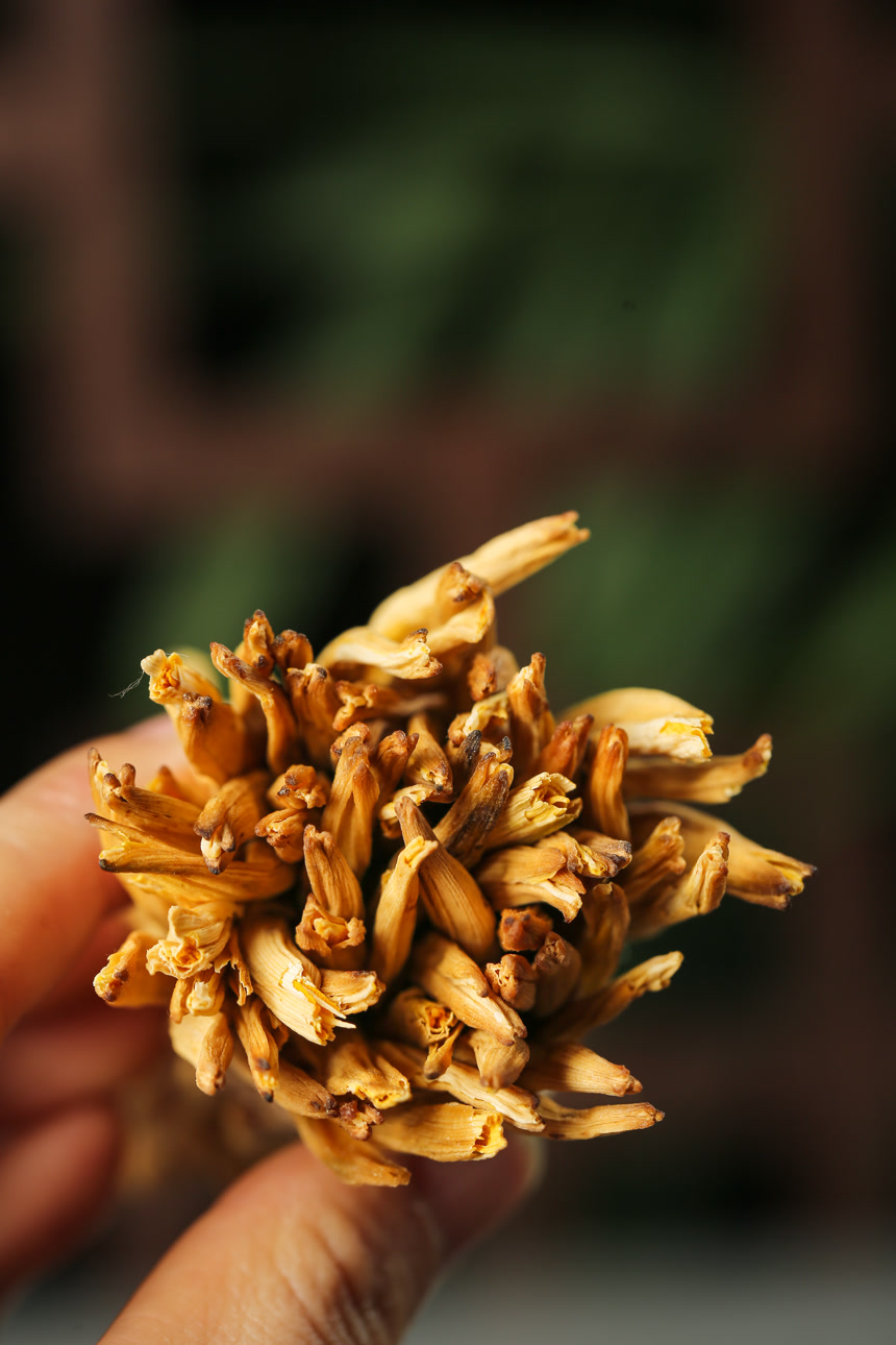 深底上的黄花菜