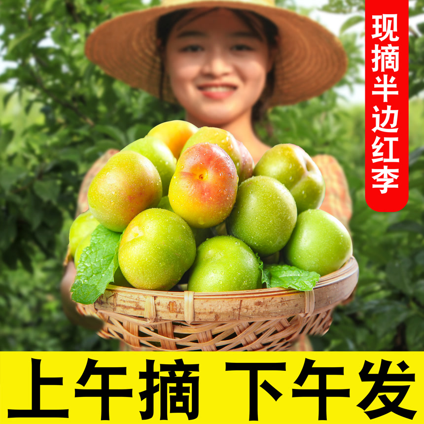 半边红李子主图