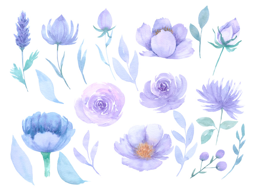 紫色水彩花朵合集植物花卉白底图
