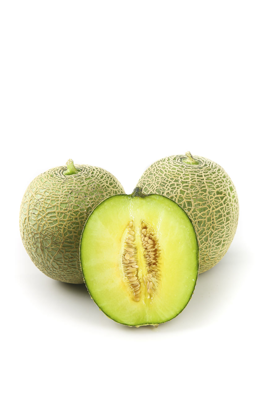 白底上的网纹蜜瓜