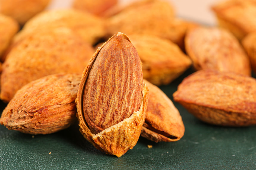 浅底上的巴旦木