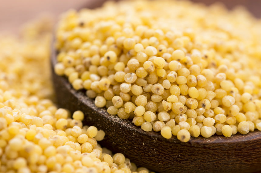 碗里溢出的谷子农作物五谷杂粮