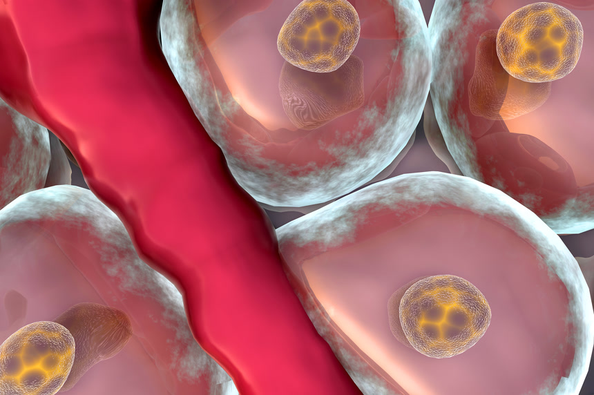 静脉单元格特写健康保健医学医疗
