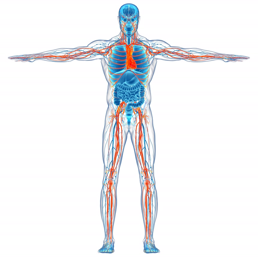 人体医学扫描 医疗健康