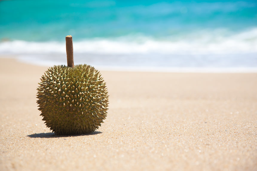 海滩上一颗热带水果之王榴莲水果广告