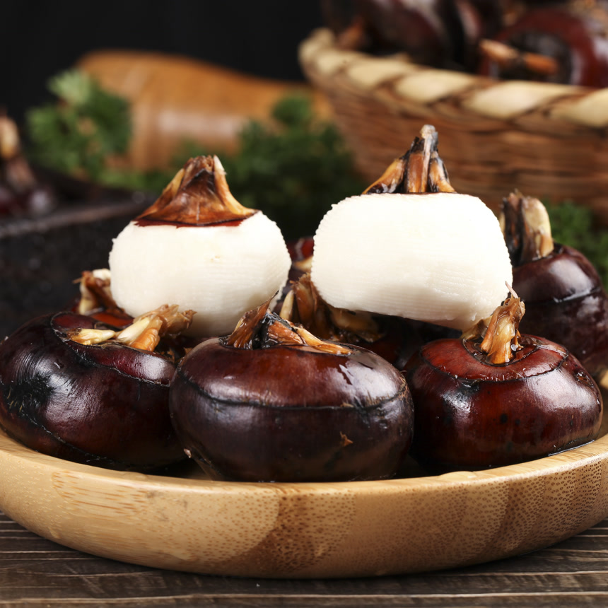 木底上的新鲜马蹄