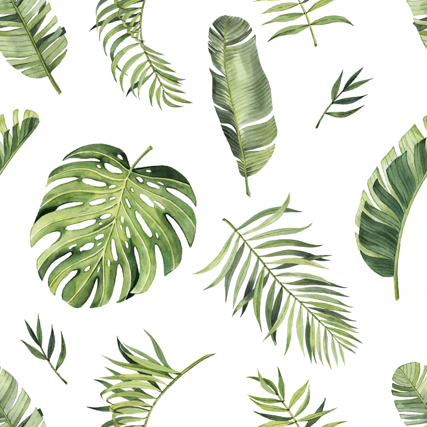 水彩斑斓的热带树叶图案热带地区热带树叶白色背景