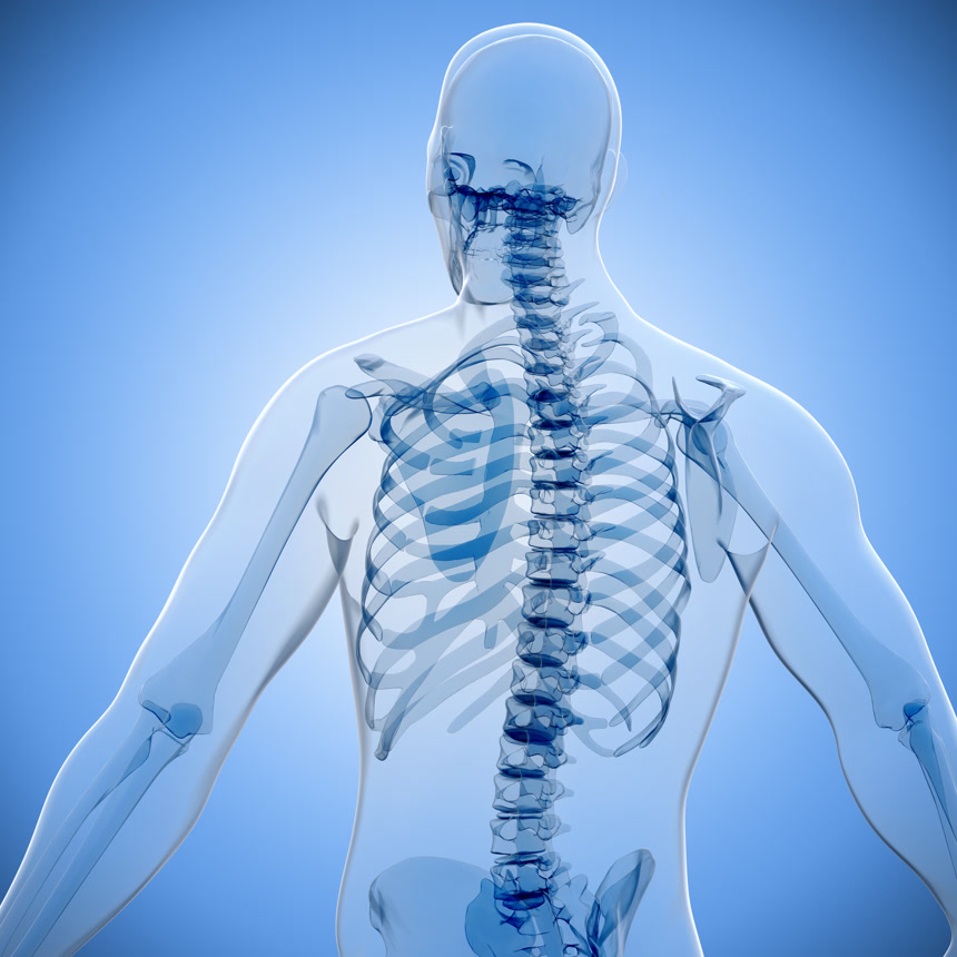 蓝色光影下的骨骼医学影像插画