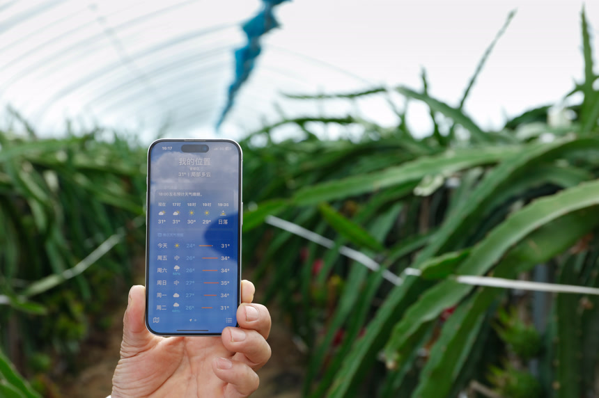 火龙果种植 温控监测