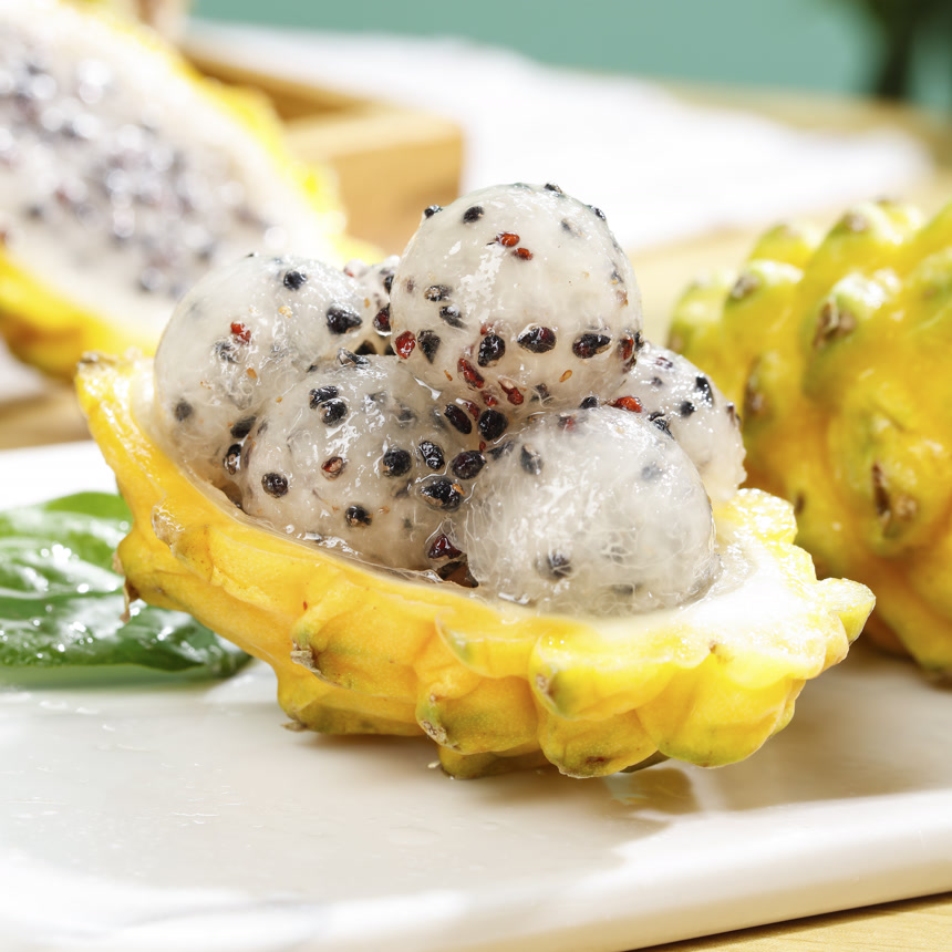 浅底上的麒麟果