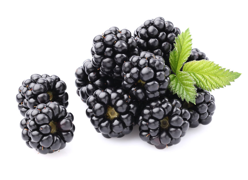 成熟的新鲜黑莓水果店宣传白底图