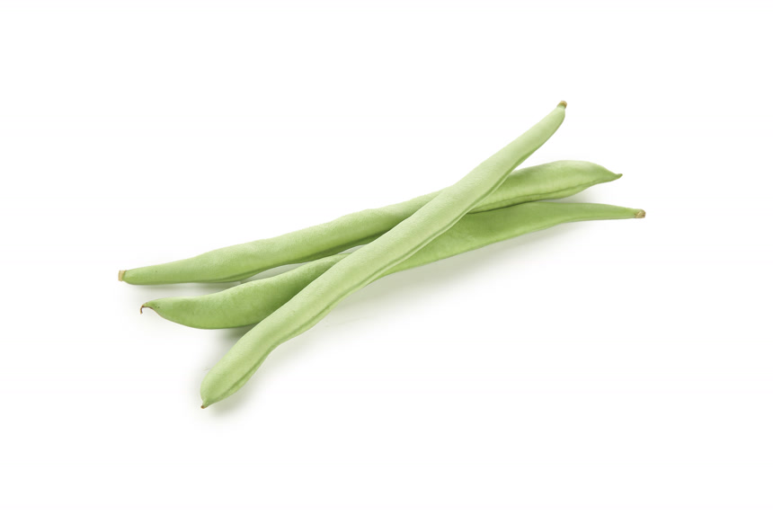 四季豆